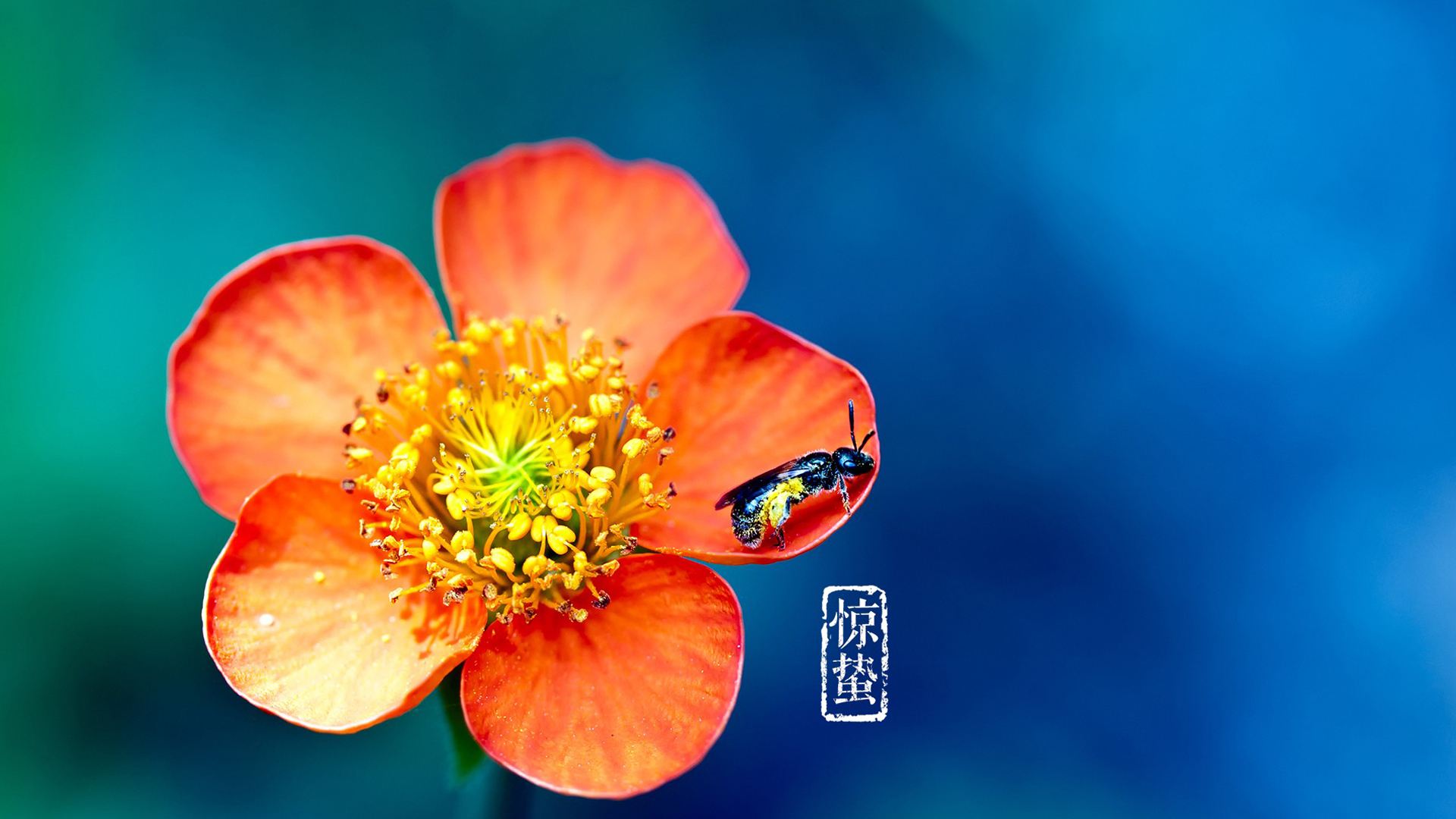 惊蛰节气最大的特点是什么