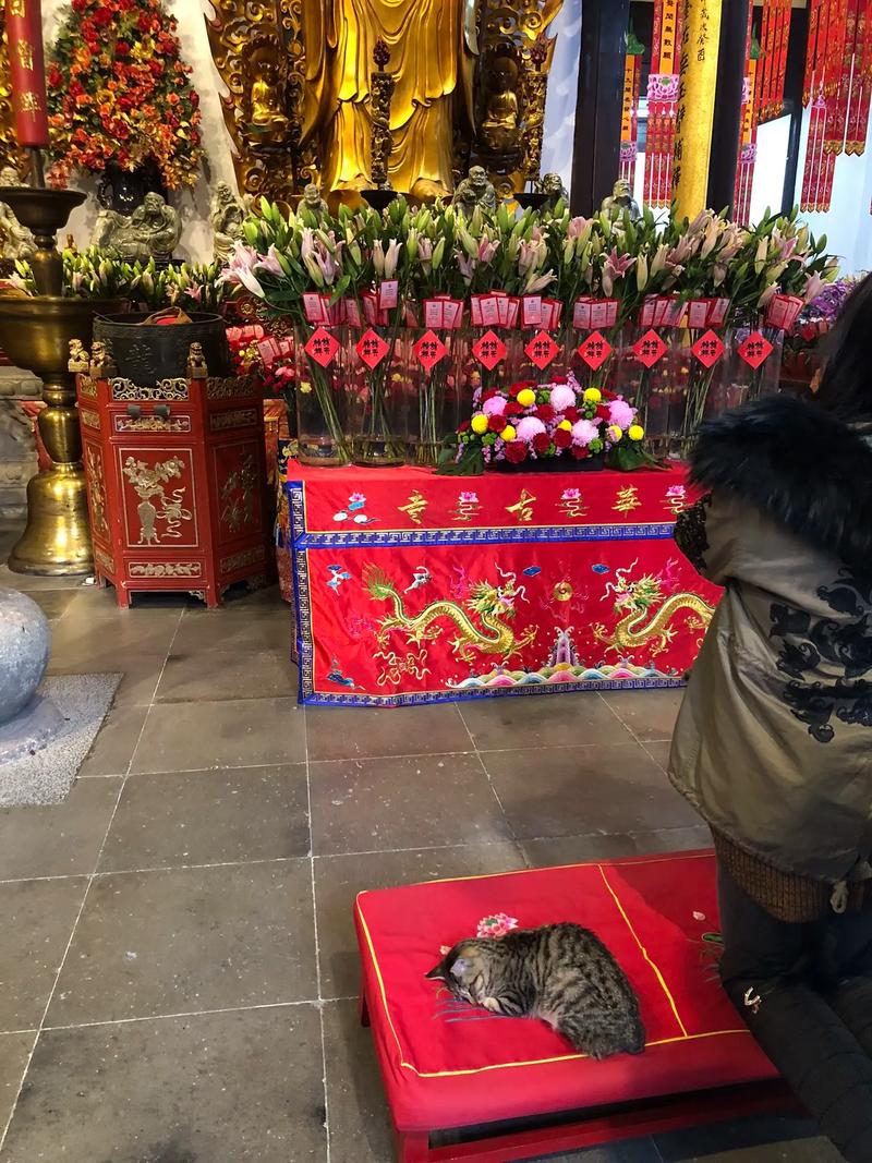 唐老鸭之歌 唐老鸭之歌小蓓蕾组合