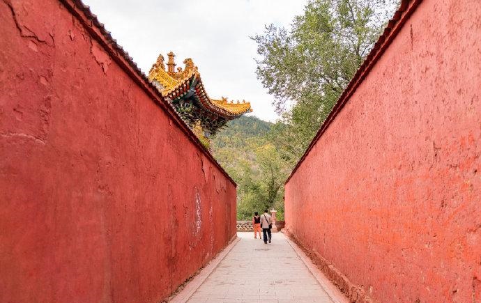 王李丹妮十大巅峰作品