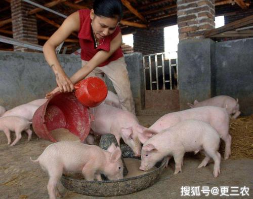 王力宏旧爱 王力宏最爱谁