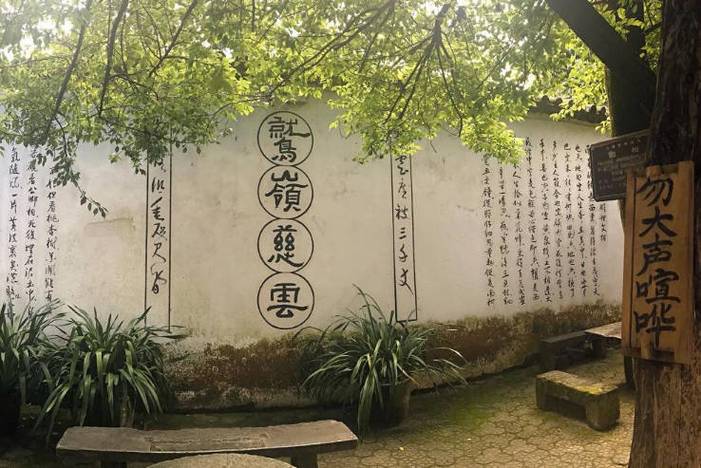 佘诗曼最近的综艺节目 佘诗曼最近的综艺节目