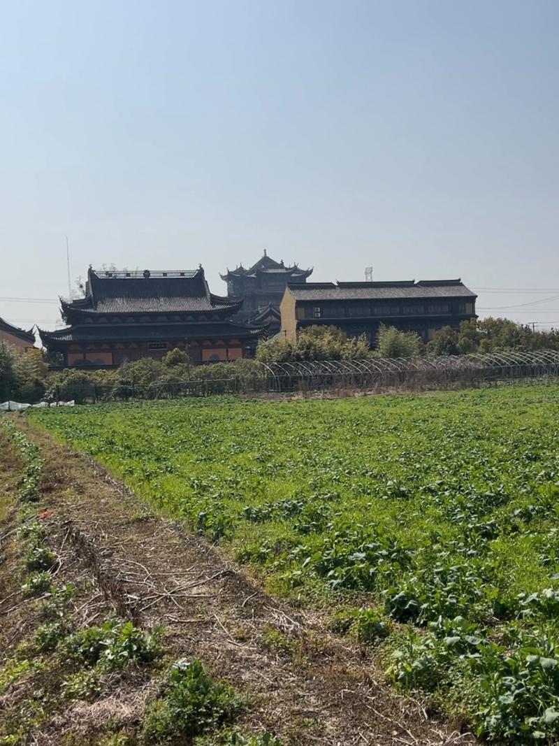 算命哪个生肖的人最帅会影响人生吗(算命