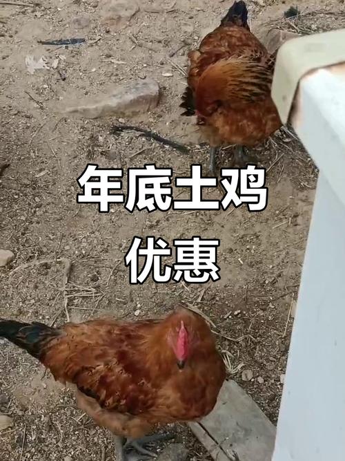 属猴女生婚配什么属相男生为佳 属猴的男人和什么属相的女人最般 属猴女生婚配什么属相男生为佳 属猴的男人和什么属相的女人最般