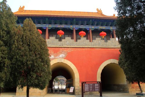 梦抱爱犬 温馨场景梦境情感 梦抱爱犬 温馨场景梦境情感