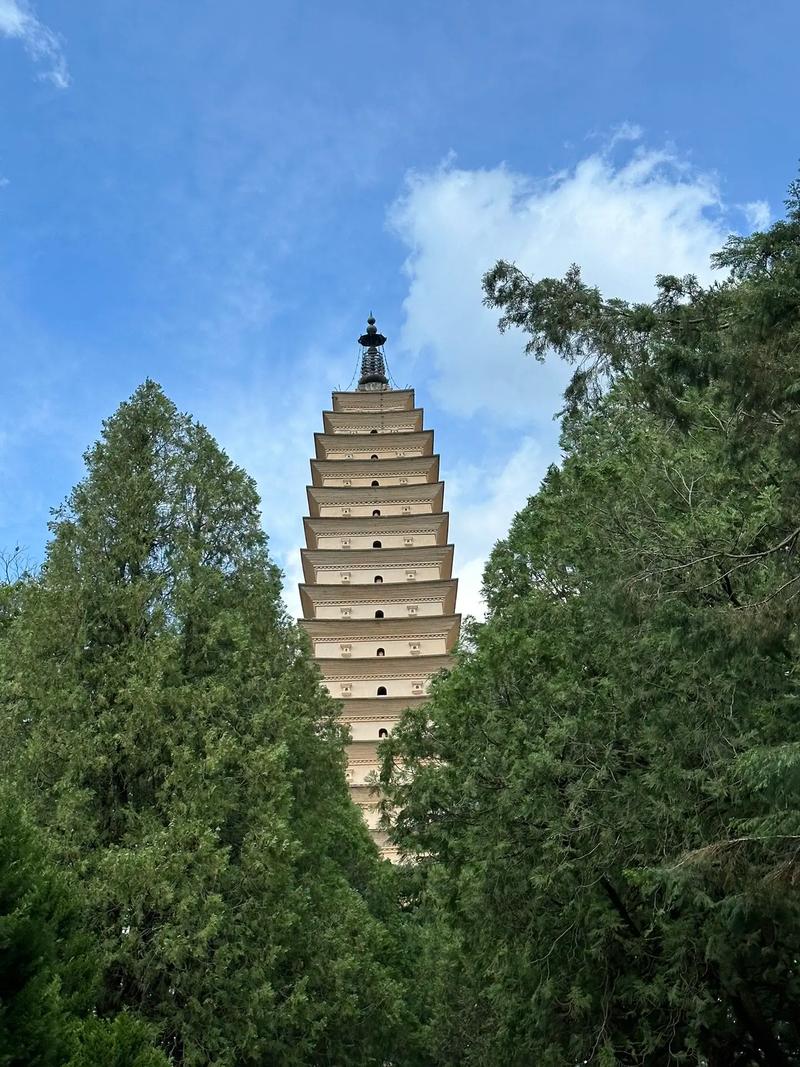兔年即将来临 车牌单号哪些数字吉凶会影响我们的出行和运气呢让我们一起看看值得关注与重视 兔年即将来临 车牌单号哪些数字吉凶会影响我们的出行和运气呢让我们一起看看值得关注与重视