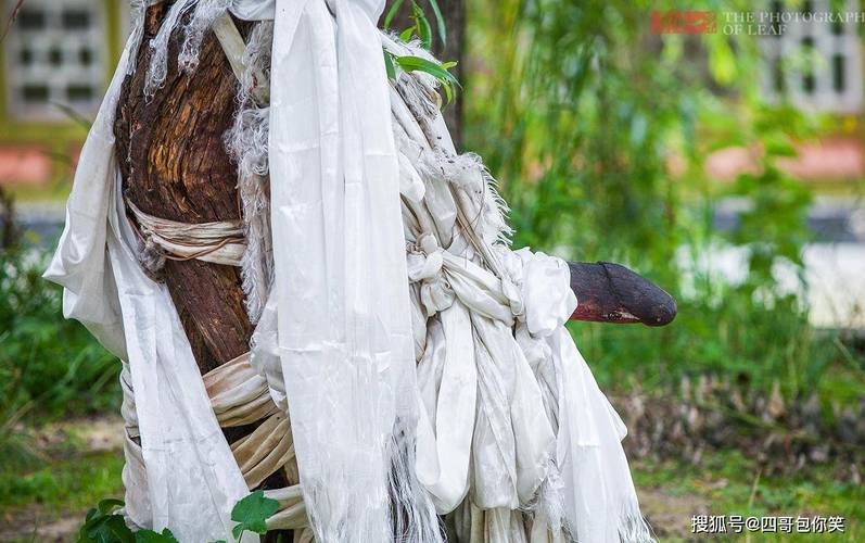 好听有创意的文化公司名字 新公司起名大全